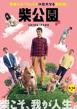 np小说推荐